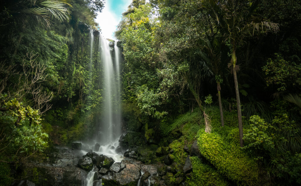 Top 5 des cascades à découvrir en randonnée en Nouvelle-Zélande